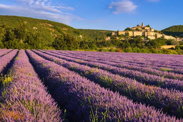 Provence ─ zwischen Tradition und Moderne