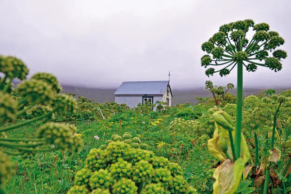 Islands Naturwunder geruhsam erleben