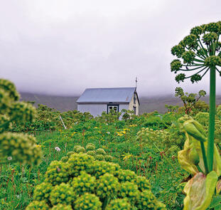 Islands Naturwunder geruhsam erleben Islands Naturwunder geruhsam erleben