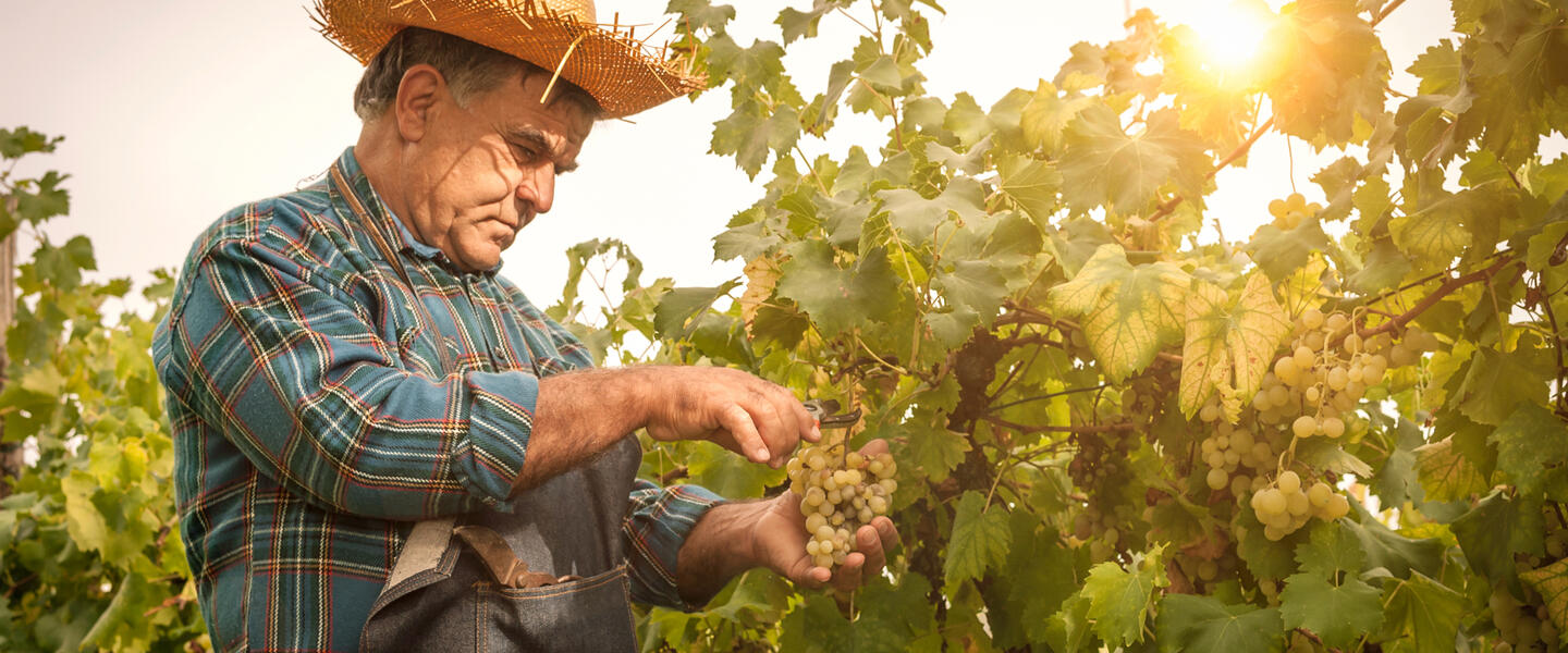 Die Toskana ausführlich entdecken