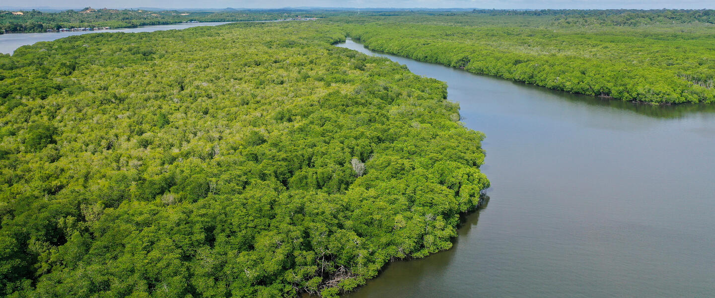 Multikulturelles Malaysia und Borneo
