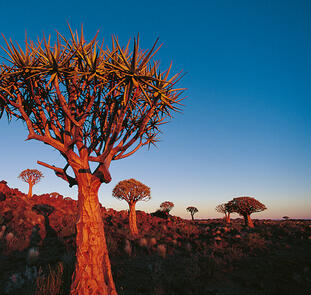 Naturschätze im südlichen Afrika