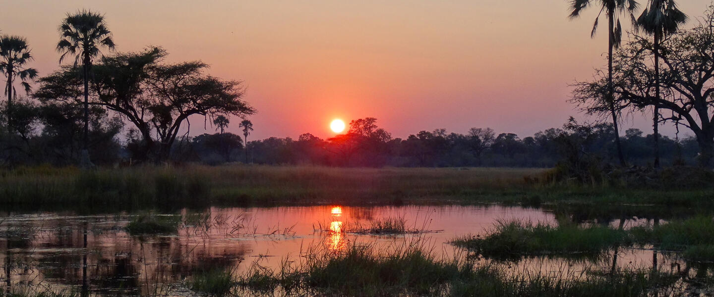 Simbabwe, Namibia, Botswana - im Herzen Afrikas