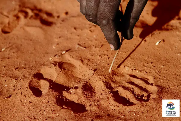 Naturschätze im südlichen Afrika