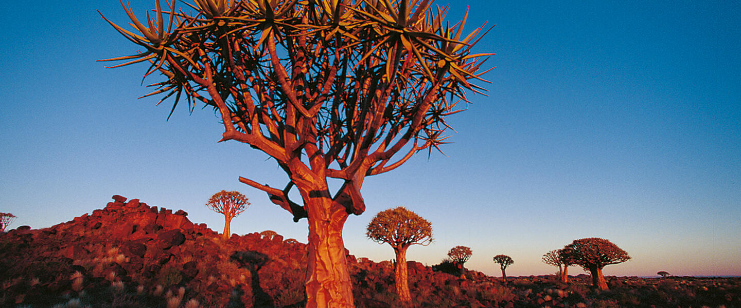 Namibia - Kaleidoskop der Kulturen