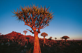 Namibia - Kaleidoskop der Kulturen