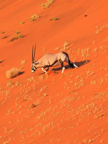 Südliches Afrika - Wüstenwunder und Lebensquellen