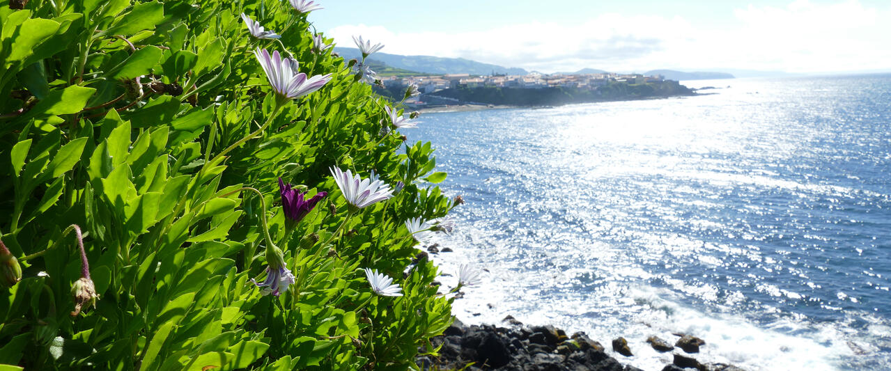 Azoren ─ schöne Grüne im Atlantik Azoren ─ schöne Grüne im Atlantik