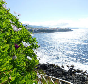 Azoren ─ schöne Grüne im Atlantik Azoren ─ schöne Grüne im Atlantik