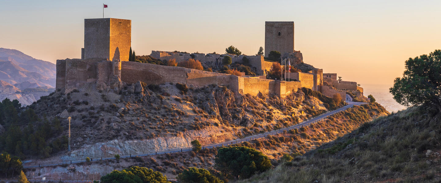 Entlang der Costa Blanca - "Paella, Palmen und Meer"