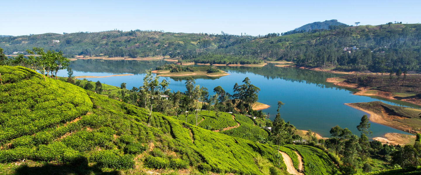 Sagenhaftes Sri Lanka für Genießer