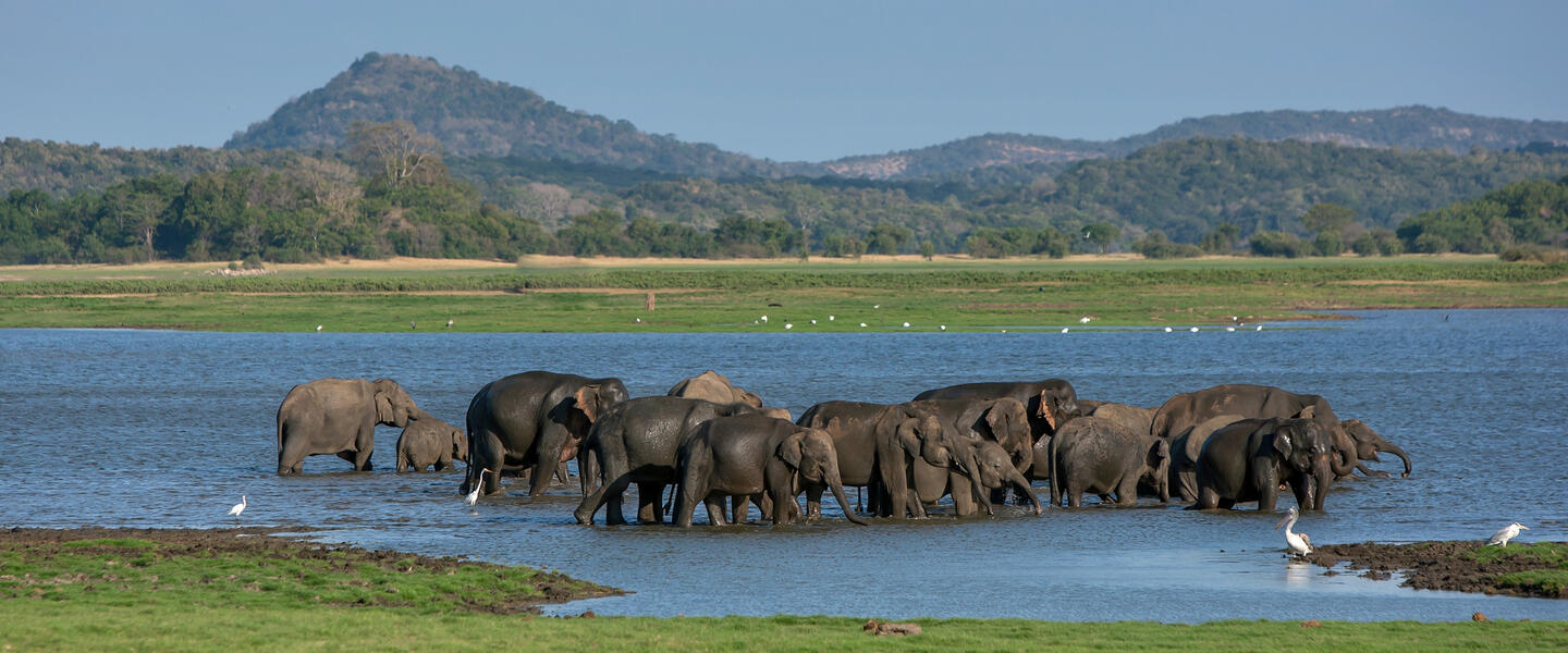 Sagenhaftes Sri Lanka für Genießer