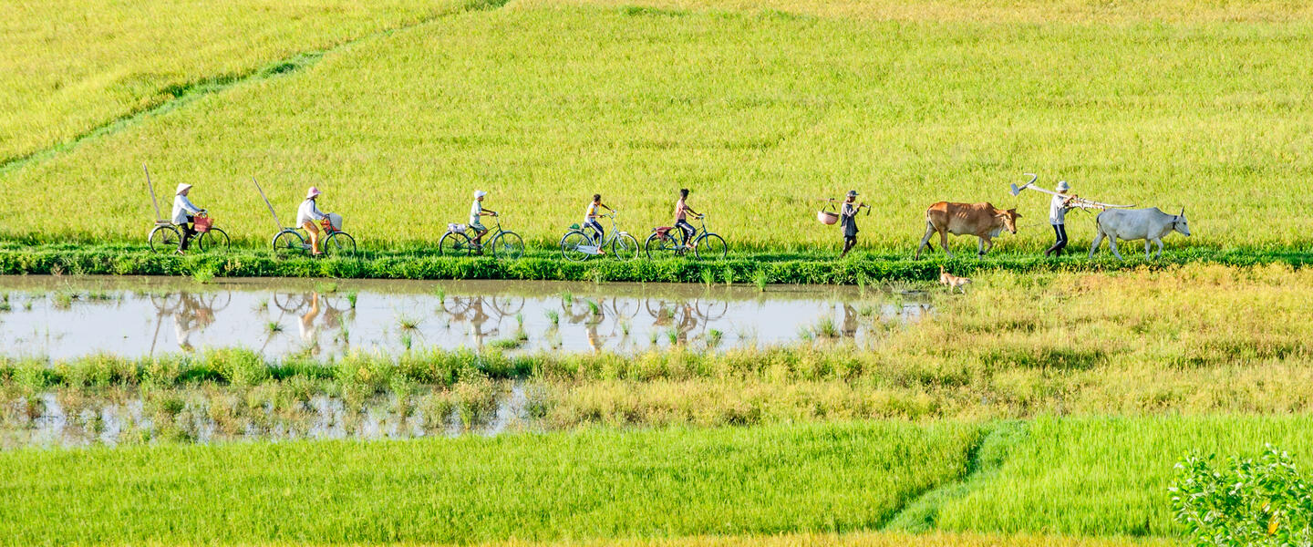 Asiens Herzschlag - Überland von Bangkok nach Südvietnam