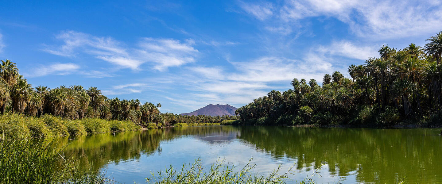 Baja California Sur - unbekanntes Naturparadies