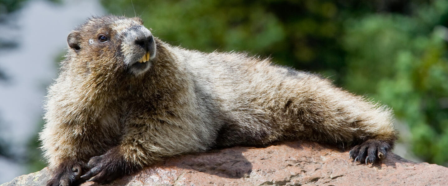 USA und Kanada: Höhepunkte der Ostküste USA und Kanada: Höhepunkte der Ostküste