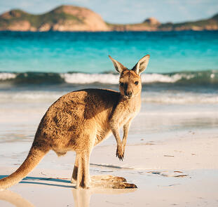 Australien in Style Australien in Style