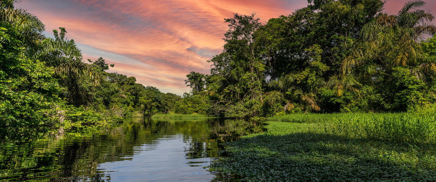 Costa Rica - im Herzen der Natur privat Costa Rica - im Herzen der Natur privat