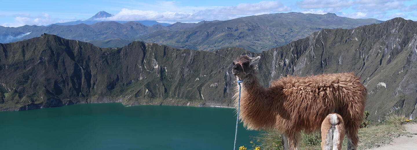 Ecuador und Galápagos zum Kennenlernen