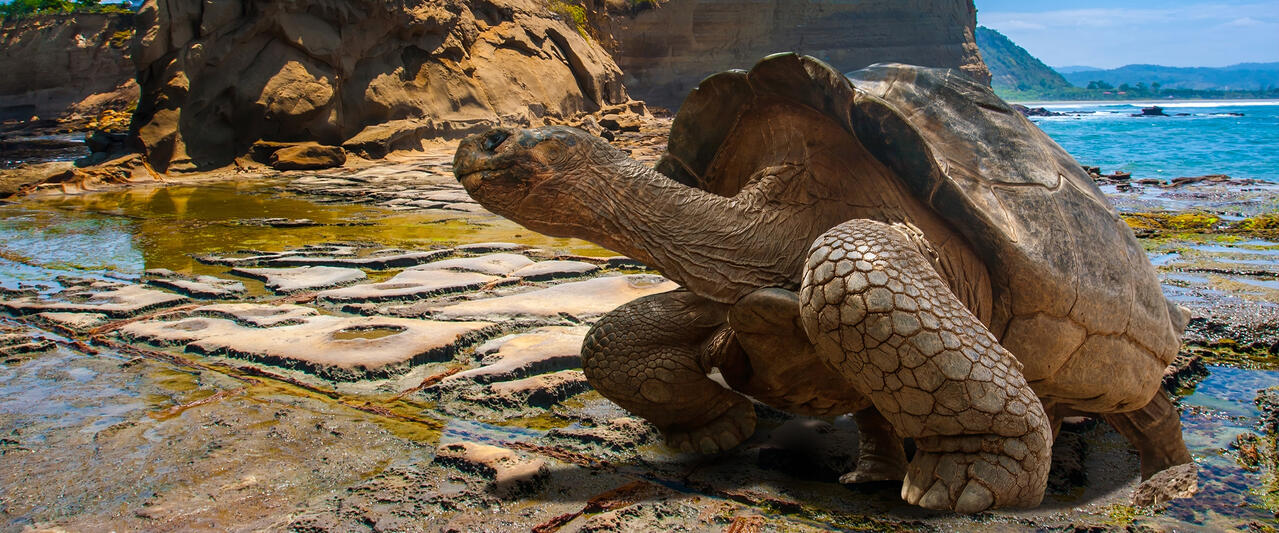 Ecuador und Galápagos zum Kennenlernen