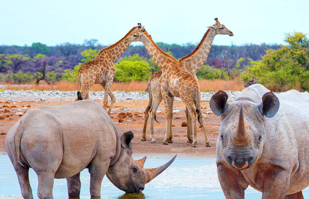 Namibia - von Windhoek zu den Victoria-Fällen privat