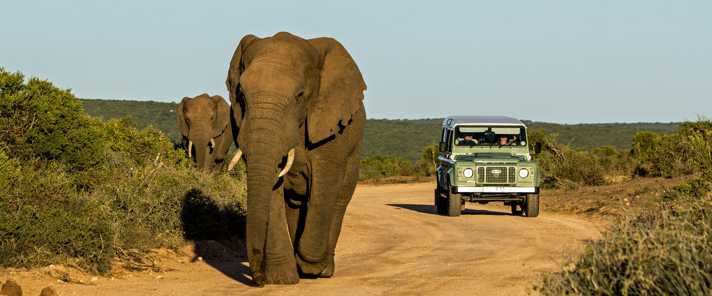 Südafrika für Selbstfahrer - Kapstadt, Gartenroute und Karoo