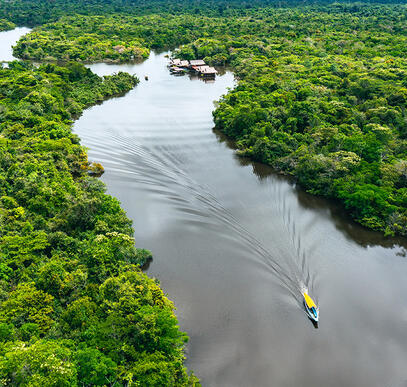 Posada Amazonas ─ Erlebnis Regenwald
